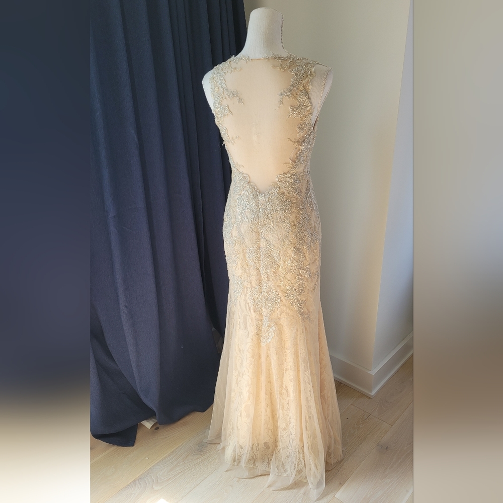 DAVIDS BRIDAL | Champagne Lace Beaded Dress - Picture 9 of 16